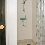 Faergevej Xi Appartement